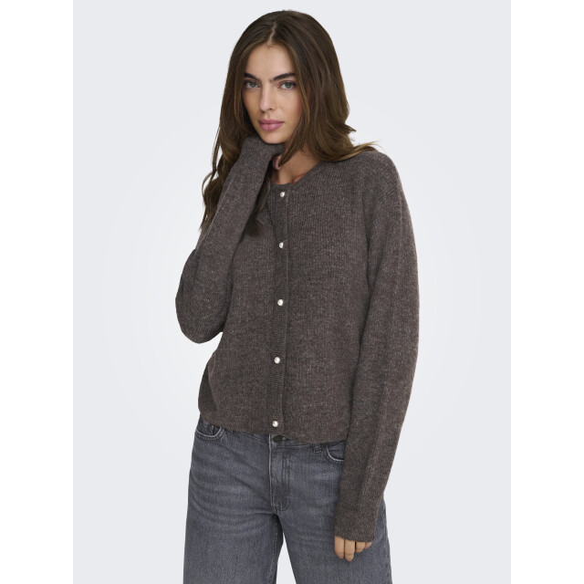 Jacqueline de Yong lumi life l/s button cardiga knt 15326819 bracken 06741.840.0021 large