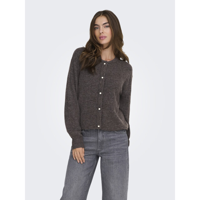Jacqueline de Yong lumi life l/s button cardiga knt 15326819 bracken 06741.840.0021 large