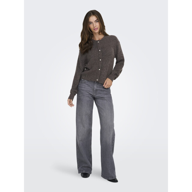 Jacqueline de Yong lumi life l/s button cardiga knt 15326819 bracken 06741.840.0021 large