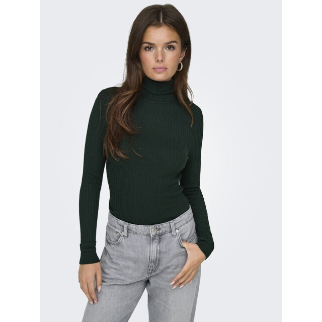 Only Onlkarol ls rollneck pullover knt noos donker 4219.27.0010 large