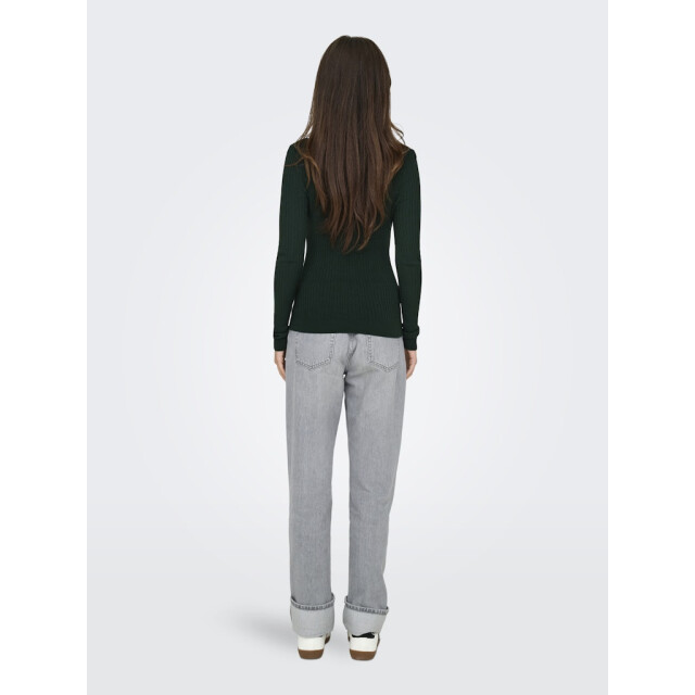 Only Onlkarol ls rollneck pullover knt noos donker 4219.27.0010 large