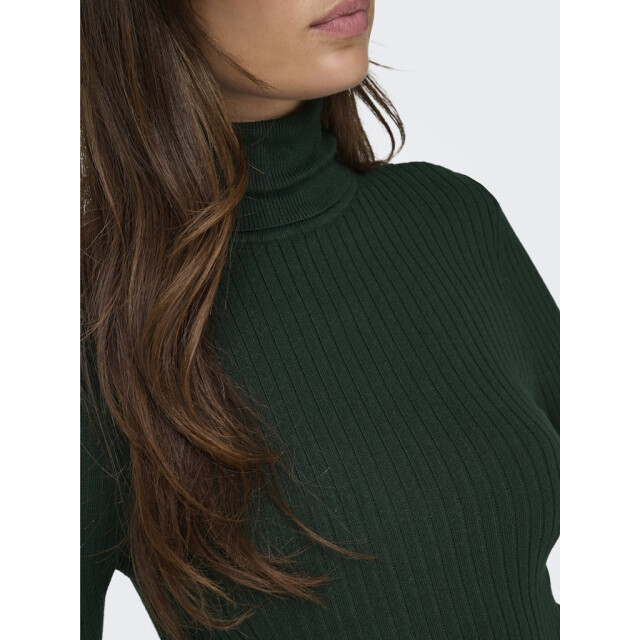 Only Onlkarol ls rollneck pullover knt noos donker 4219.27.0010 large