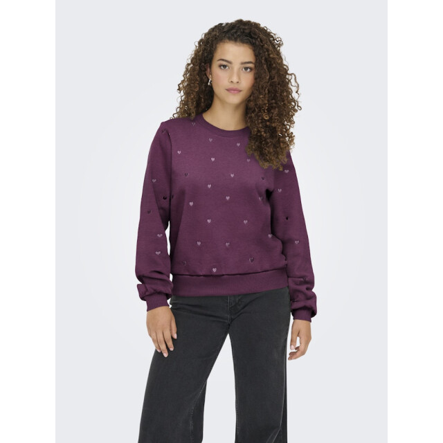 Only Onlatika ls o-neck glitter emb. box swt bordeaux 4209.47.0014 large