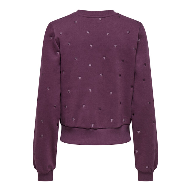 Only Onlatika ls o-neck glitter emb. box swt bordeaux 4209.47.0014 large