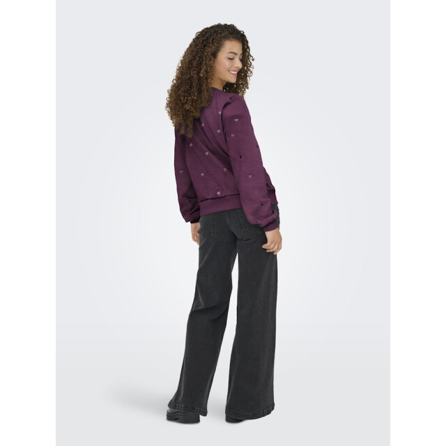 Only Onlatika ls o-neck glitter emb. box swt bordeaux 4209.47.0014 large