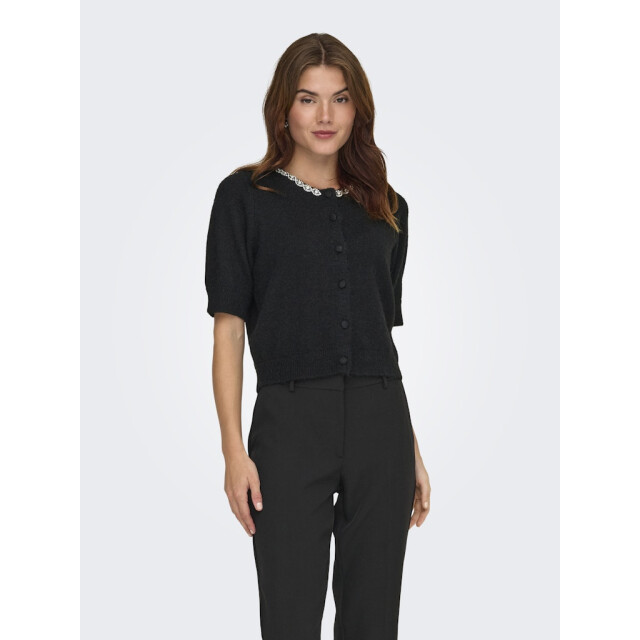 Jacqueline de Yong Jdyalva life 24 embel cardigan knt noos - 4249.80.0016 large