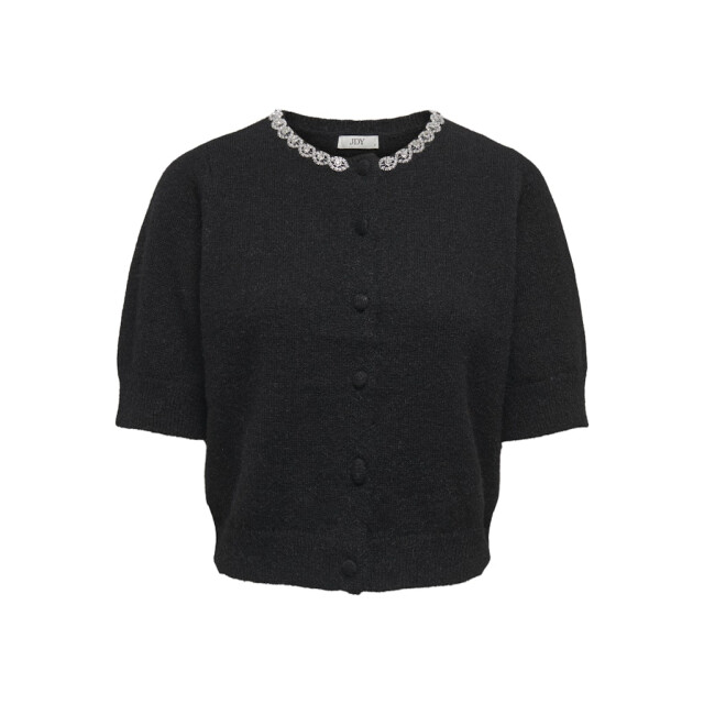 Jacqueline de Yong Jdyalva life 24 embel cardigan knt noos - 4249.80.0016 large