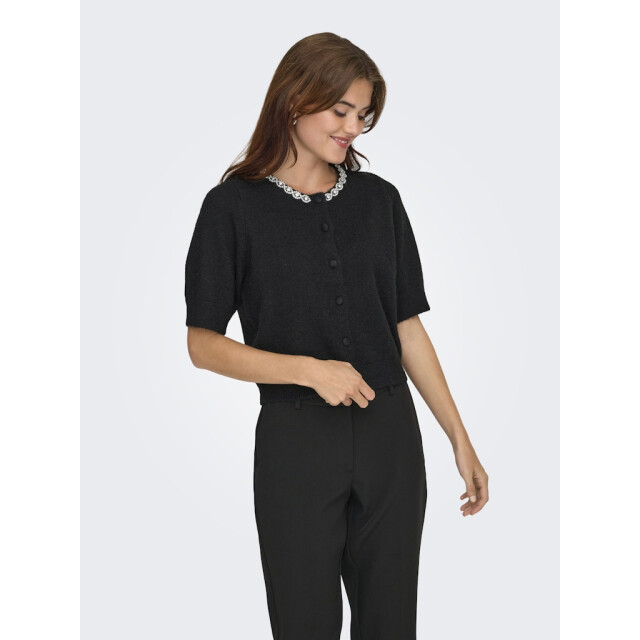 Jacqueline de Yong Jdyalva life 24 embel cardigan knt noos - 4249.80.0016 large