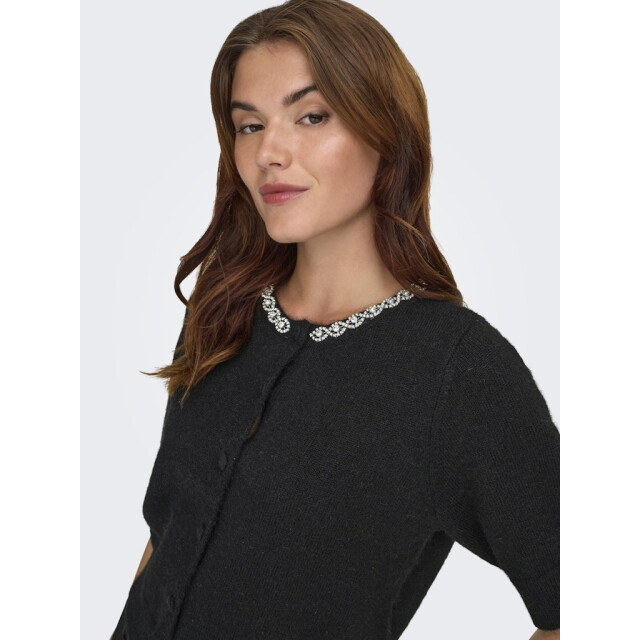 Jacqueline de Yong Jdyalva life 24 embel cardigan knt noos - 4249.80.0016 large