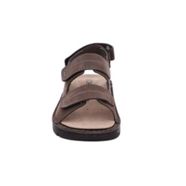 Rohde 5997 5997 large