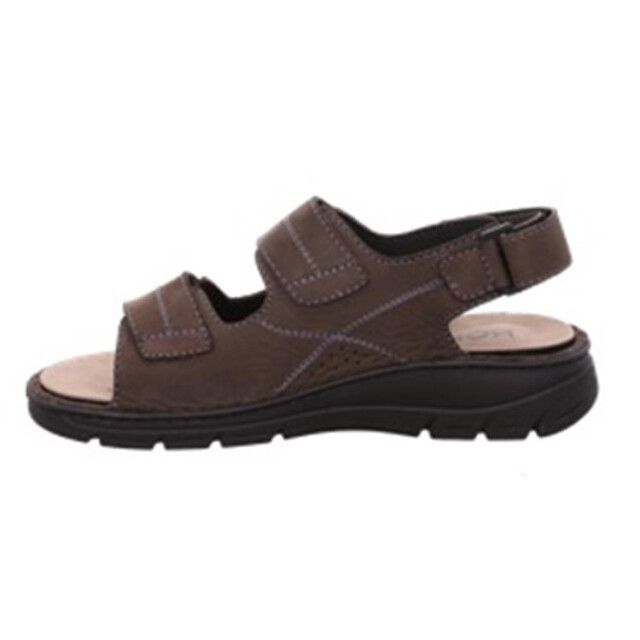 Rohde 5997 5997 large