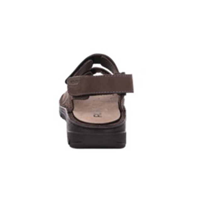 Rohde 5997 5997 large