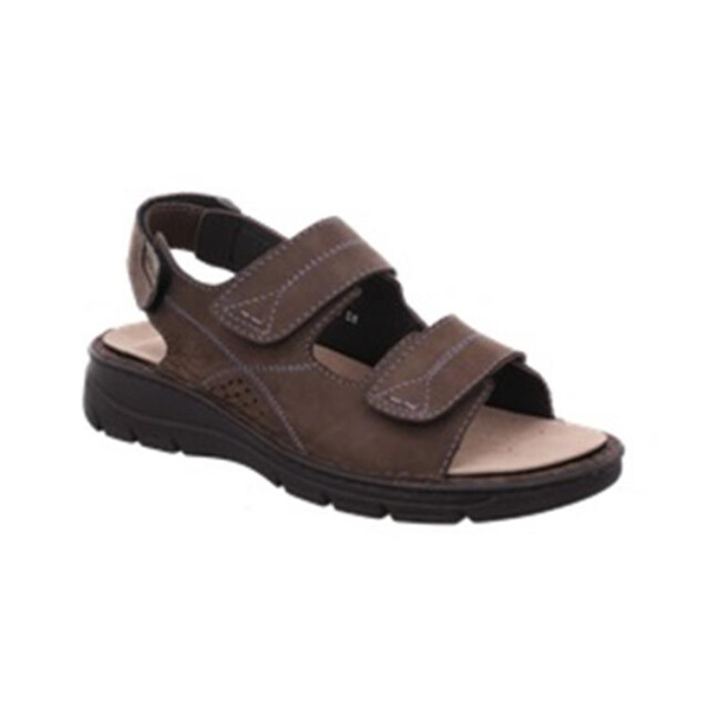 Rohde 5997 5997 large