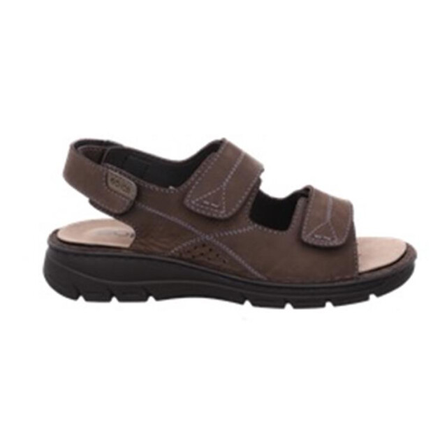 Rohde 5997 5997 large