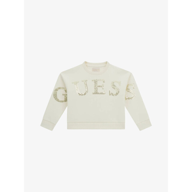 Guess Meisjes sweater K5YQ09-KAV34-G012 large