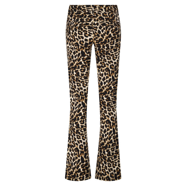 Lady Day Poppy L14.480.2839 large