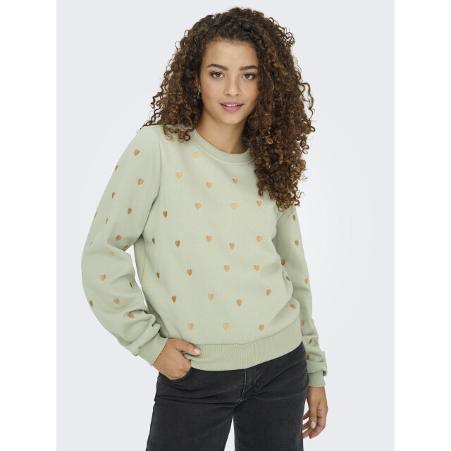 Only onlatika l/s o-neck glitter emb. bo 15355802 desert sage 06721.369.0049 large
