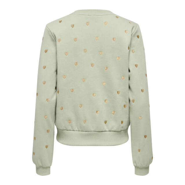 Only onlatika l/s o-neck glitter emb. bo 15355802 desert sage 06721.369.0049 large