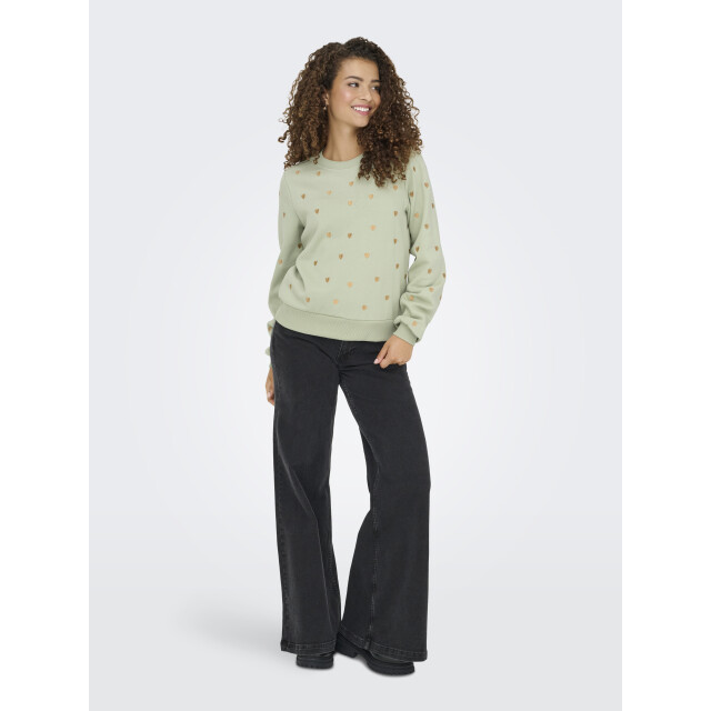 Only onlatika l/s o-neck glitter emb. bo 15355802 desert sage 06721.369.0049 large