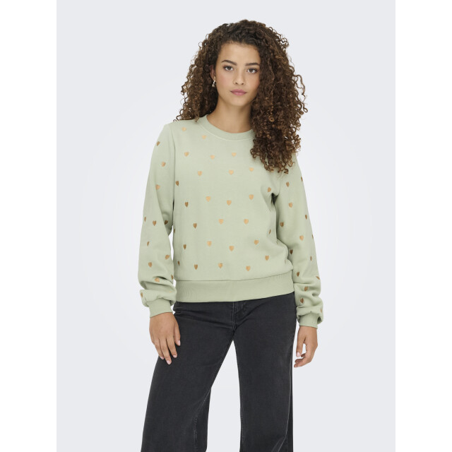 Only onlatika l/s o-neck glitter emb. bo 15355802 desert sage 06721.369.0049 large