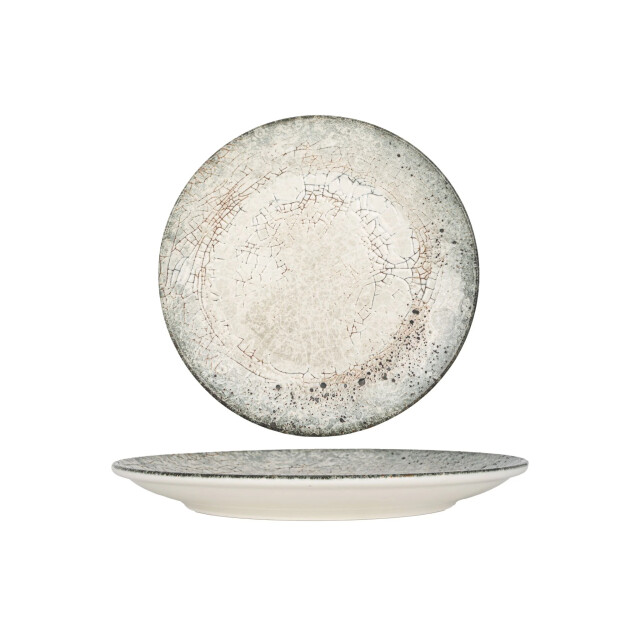 Rinart Dinerbord sedir porselein 25 cm set van 6 3202225 large