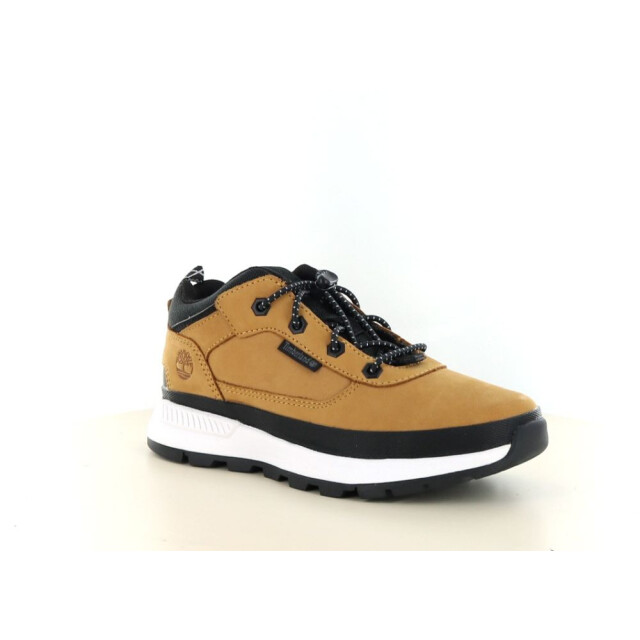 Timberland Field tracker low 461.90.242 large