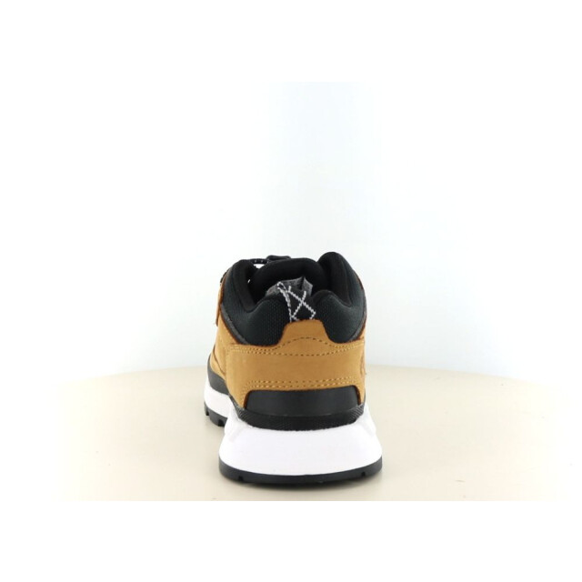 Timberland Field tracker low 461.90.242 large