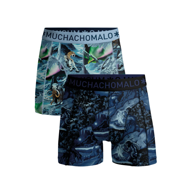 Muchachomalo Boys 2-pack boxer shorts prehistory PREHISTORY1010-04J large