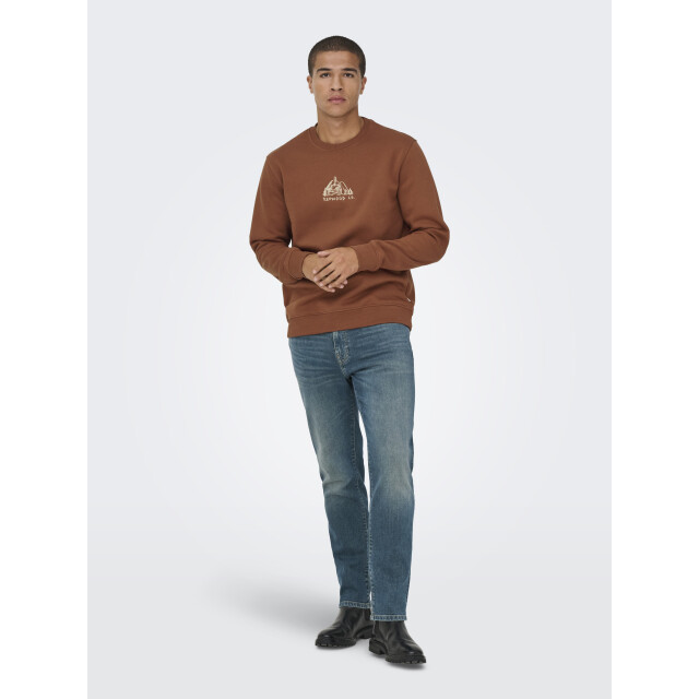 Only & Sons onsconnor simple life reg ls crew s 22035961 sequoia 05735.640.0005 large