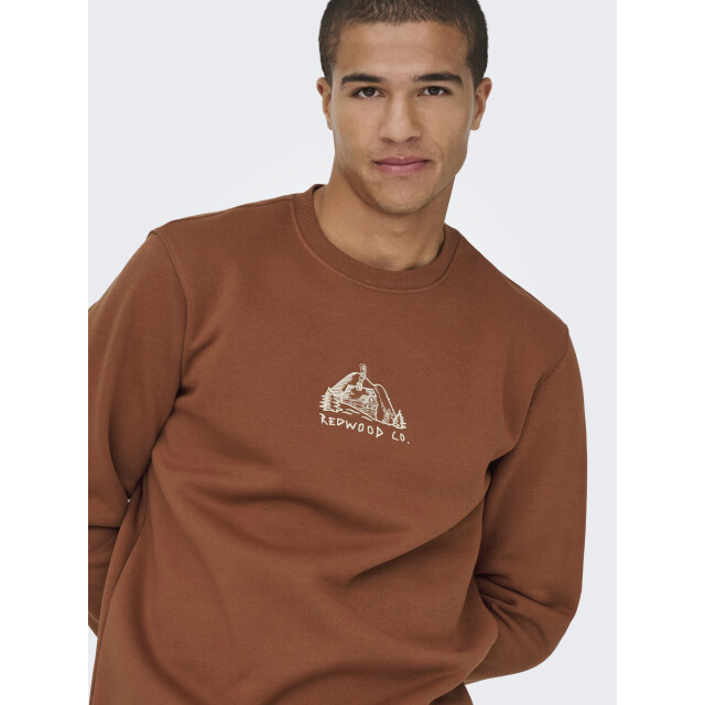Only & Sons onsconnor simple life reg ls crew s 22035961 sequoia 05735.640.0005 large