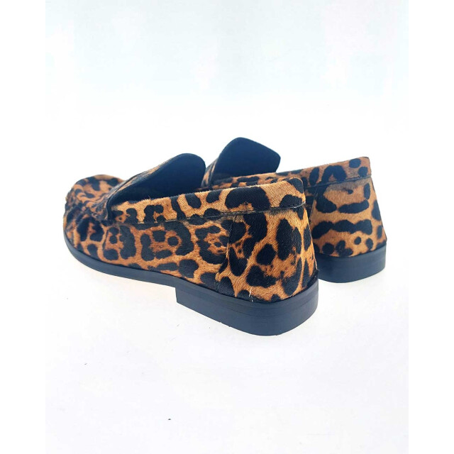 Inuovo C71006 instappers C71006 large