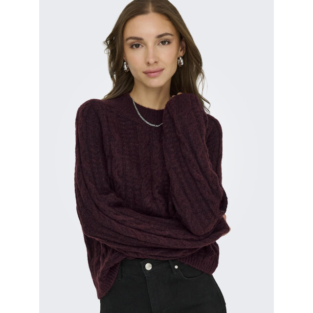 Jacqueline de Yong Jdysilja ls hn cable pullover knt bordeaux 4219.47.0013 large