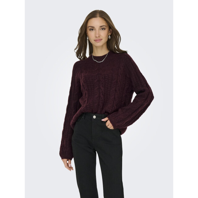 Jacqueline de Yong Jdysilja ls hn cable pullover knt bordeaux 4219.47.0013 large
