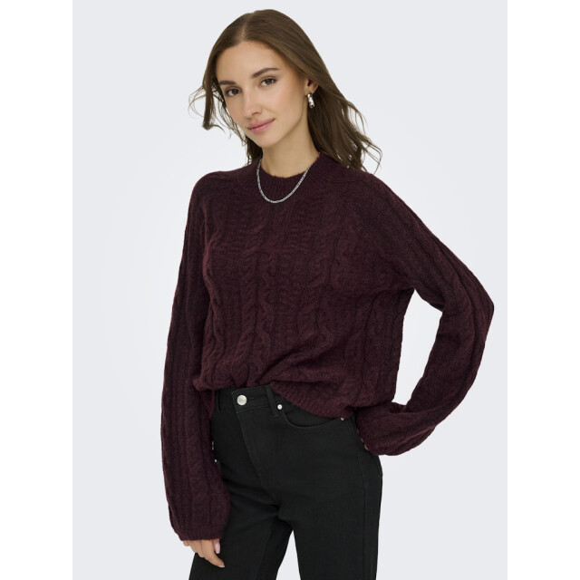 Jacqueline de Yong Jdysilja ls hn cable pullover knt bordeaux 4219.47.0013 large