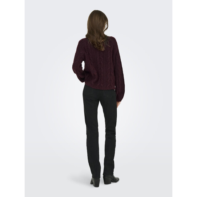 Jacqueline de Yong Jdysilja ls hn cable pullover knt bordeaux 4219.47.0013 large