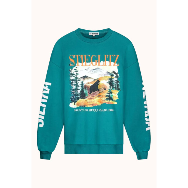 Stieglitz alejandro sweater w2502042 003 green 06721.369.0008 large