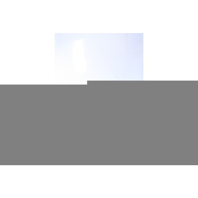 BACK 70 Boston l501 sneakers 70501 large