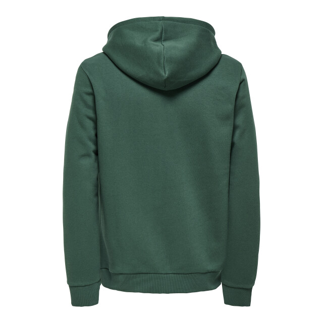Only & Sons Onsceres kenny reg ls hoodie sweat 22035953 large