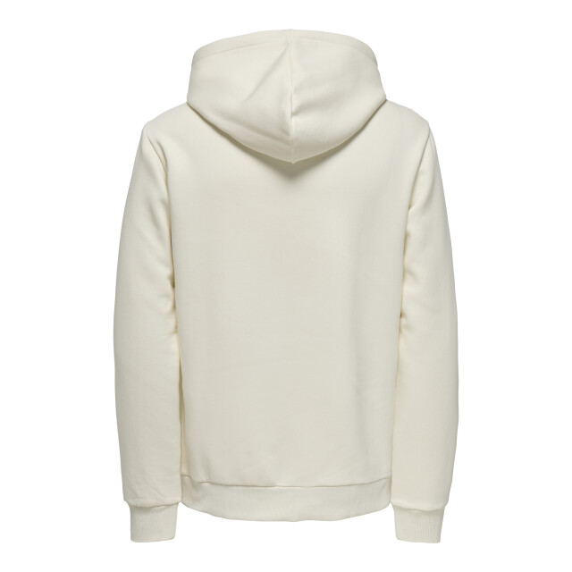 Only & Sons Onsceres kenny reg ls hoodie sweat 22035953 large