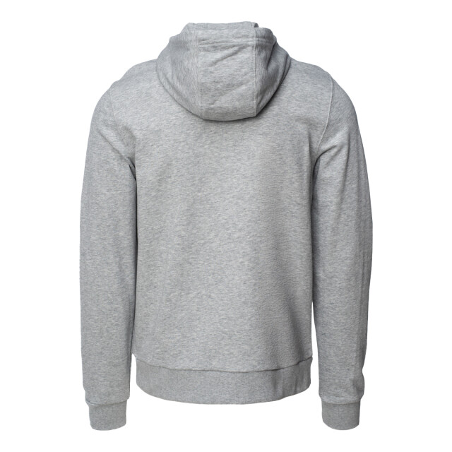 Iguana Heren iben logo hoodie UTIG5718_coldlightgreymelange large