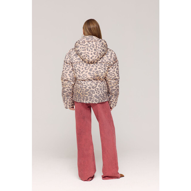 Harper & Yve Aw25n211 karly AW25N211 KARLY large