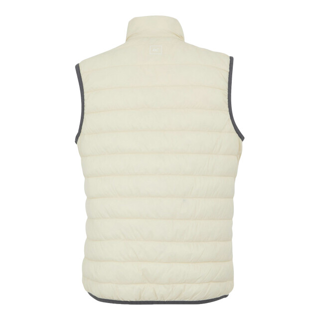 Regatta Dames hillpack ii gilet UTRG10774_lightvanillasealgrey large
