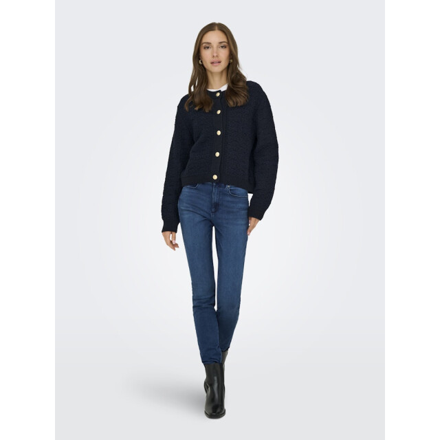 Jacqueline de Yong Jdyjonna life ls cardigan knt navy 4249.37.0016 large