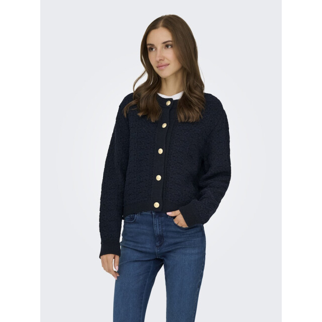 Jacqueline de Yong Jdyjonna life ls cardigan knt navy 4249.37.0016 large