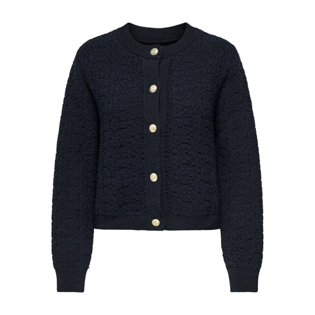 Jacqueline de Yong Jdyjonna life ls cardigan knt navy 4249.37.0016 large