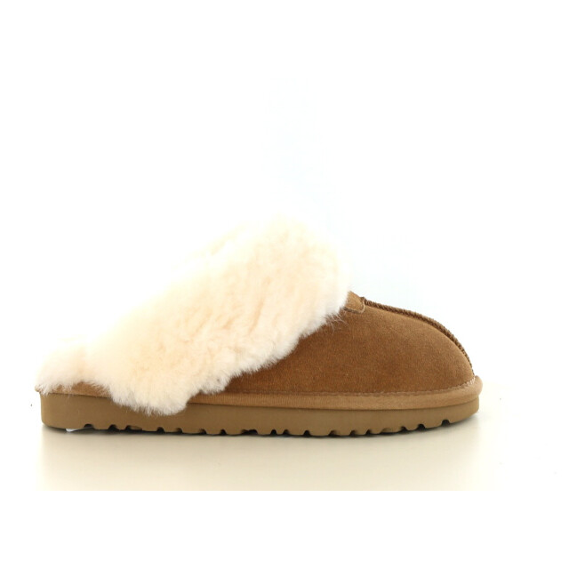 Hafjes Cozzia 530.33.525 large