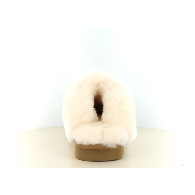 Hafjes Cozzia 530.33.525 large