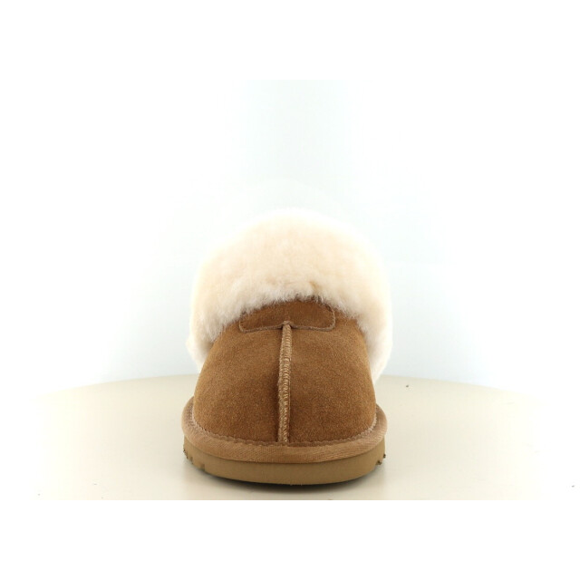 Hafjes Cozzia 530.33.525 large