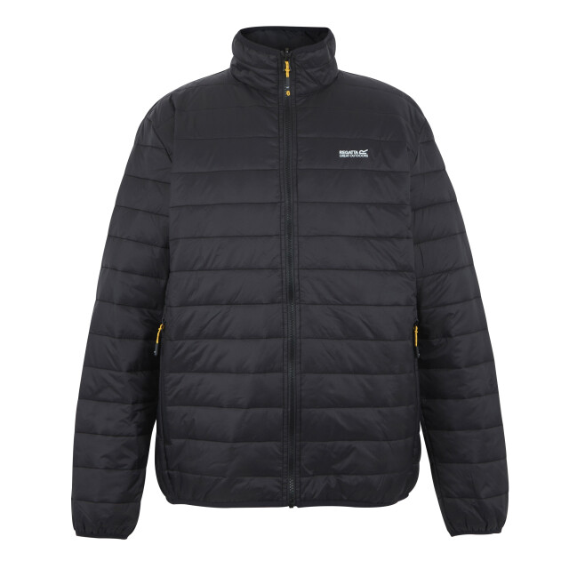 Regatta Heren wentwood 3 in 1 jas UTRG12235_ashblack large