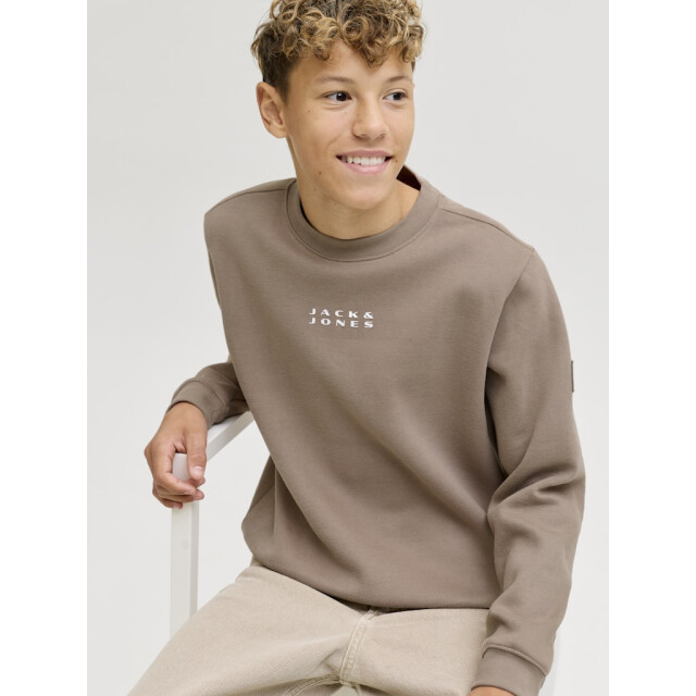 Jack & Jones Jcopoint sweat badge crew neck bf jnr taupe 3209.77.0006 large